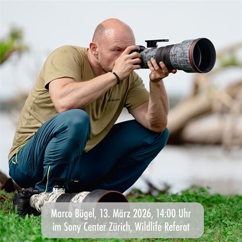 Marco Bügel banner 2 Marco Bügel banner 2