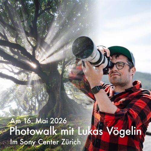 Vögelin Bild Vögelin Bild