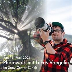 Lukas voegelin