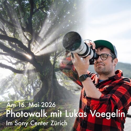 Lukas voegelin Lukas voegelin