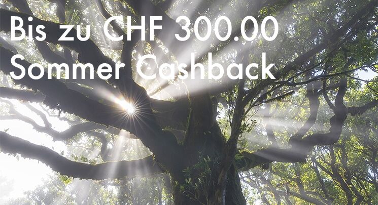 sommercashbackbanner